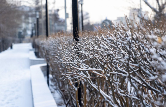 ЦАГ АГААР: Улаанбаатар хотод өдөртөө -7 хэм хүйтэн