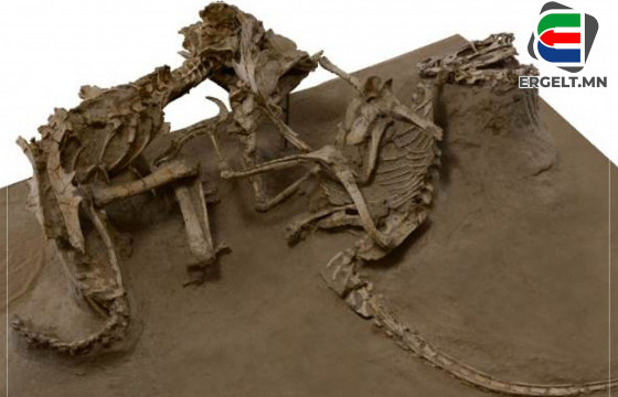 НОЦОЛДОЖ БАЙГААГААР ҮЛДСЭН ҮЛЭГ ГҮРВЭЛИЙН ЧУЛУУЖСАН ЯСНЫ МӨРӨӨР...