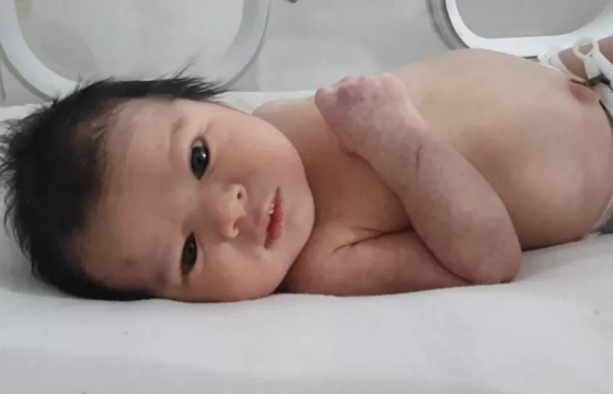 Нуранги дор төрсөн Аяа охиныг зэвсэглэсэн этгээдүүд хулгайлахыг завджээ