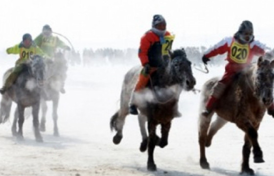 ХЭҮК-оос морин уралдаанд зориулж, зөвлөмж гаргалаа