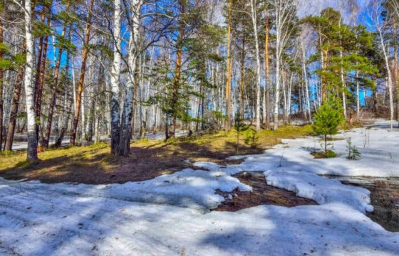 ЦАГ АГААР: Улаанбаатар хотод өдөртөө -7 хэм хүйтэн, багавтар цастай