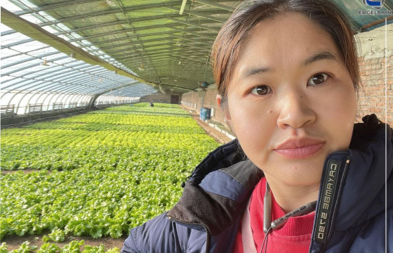 АГРОНОМИЧ Г.МӨНХЦЭЦЭГ: Эмэгтэй тариаланч байх амаргүй ч, шинэ ургац бүрээсээ эрч хүч авдаг 