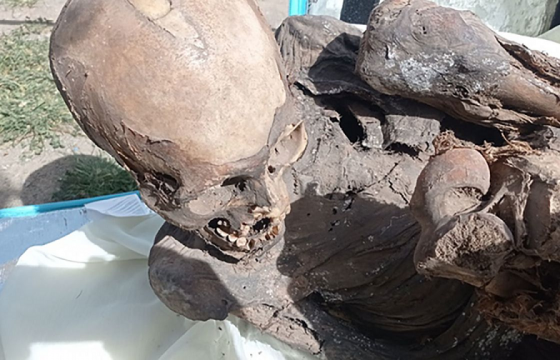 Хүргэлтийн хоолны цүнхнээс занданшуулсан шарил олджээ