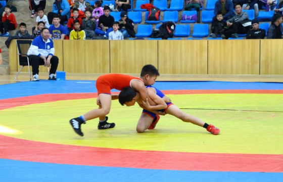 Улсын арслан П.Дагвасүрэнгийн нэрэмжит олон хотын тэмцээн ирэх сард болно