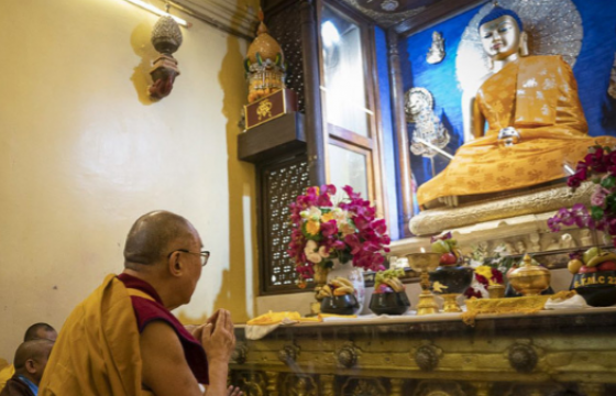 Шинийн 15-ны билэгт сайн өдөр тохиож байна