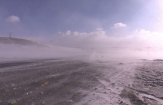 ЦАГ АГААР: Ихэнх нутгаар шороон шуурга шуурна