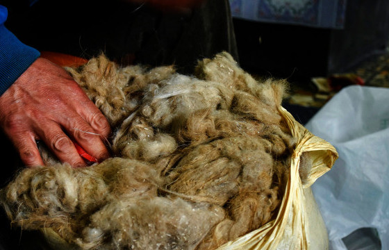 НООЛУУРЫН ГАРЦ МУУ БАЙГАА Ч ЗҮҮН АЙМГУУДАД 120-160 МЯНГАН ТӨГРӨГИЙН ҮНЭТЭЙ БАЙНА  