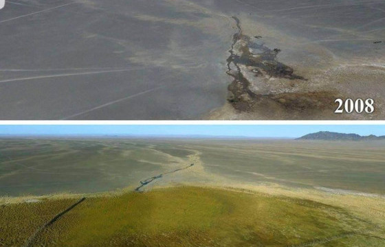 Булгийн эхийг хашиж хамгаалах нь үр дүнтэй байна   