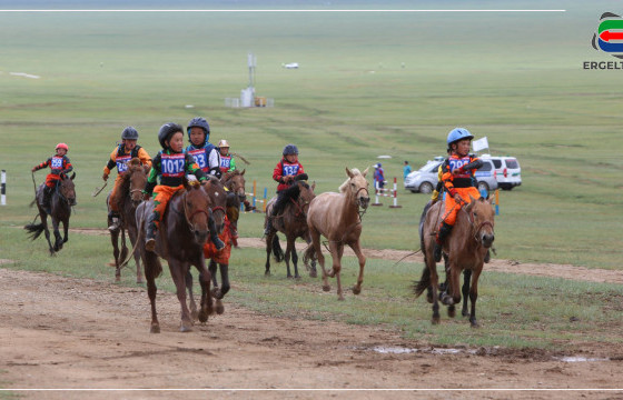 ЗҮҮН АЙМГИЙН ХУРДАН АДУУНЫ ҮНЭ ТЭНГЭРТ ГАРЧЭЭ