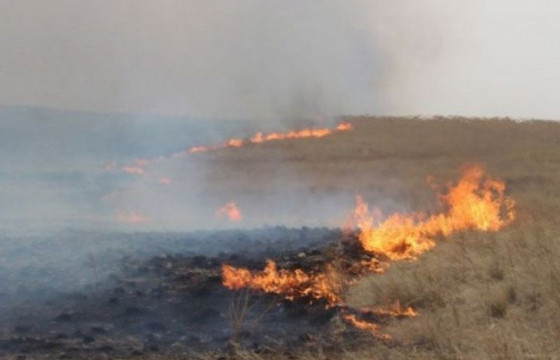 Он гарсаар найман удаагийн хээрийн түймэр бүртгэгдээд байна