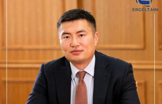 Хөгжлийн банкны гүйцэтгэх захирлын үүргийг түр орлон гүйцэтгэгч  Н.Мандуулын хэвлэлд өгсөн ярилцлагын онцлох 10 эшлэл