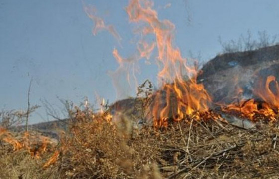 Тээвэрлэж явсан нүүрснээс цог унаж, түймэр гарчээ