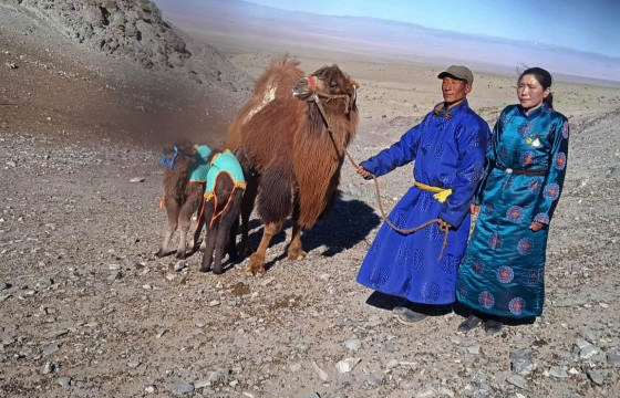 Говь-Алтай аймгийн Халиун суманд ингэ ихэрлэжээ