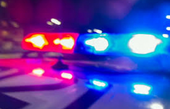 31 жилийн өмнө хүчингийн хэрэг үйлдсэн этгээдэд 40 жилийн хорих ял ногдуулжээ