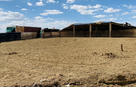 ЗАВХАН АЙМГИЙН АЛДАРХААН СУМАНД МАЛЫН БУУЦ ШАТЖЭЭ