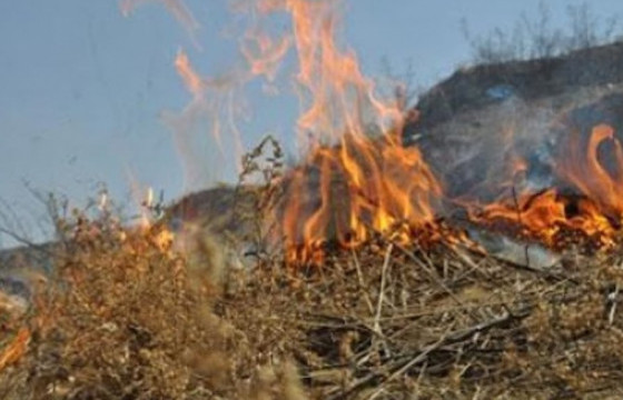 СЭЛЭНГЭ, ДОРНОД АЙМАГТ ОЙ ХЭЭРИЙН ТҮЙМЭР ГАРЧЭЭ