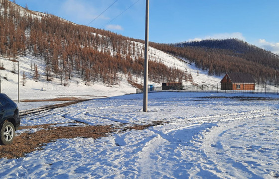 ГАЧУУРТ РУУ ГАЗРЫН НАЙМАА ЦЭЦЭГЛЭЖ, ЗУСЛАНГИЙН ҮНЭ ГААРЧ БАЙНА
