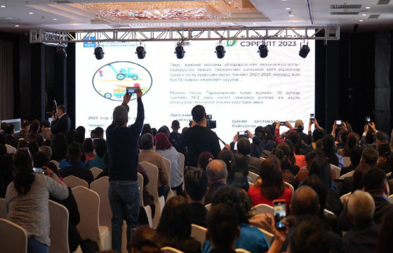 ТӨМС, ХҮНСНИЙ НОГООЧИД 