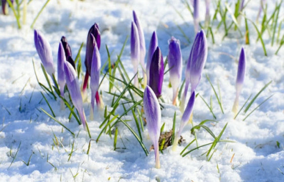 ХАНШ НЭЭХ ӨДӨР ТОХИОЖ БАЙНА