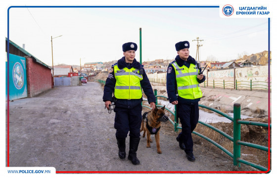 Нийслэлийн хэмжээнд нохойт эргүүл үүрэг гүйцэтгэж эхэллээ