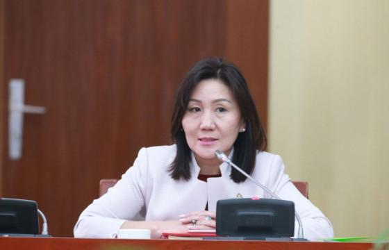  М.Оюунчимэг: Төрийн албаныхан тохироо, гуйлга, авлигын нөлөөнд хүчгүйдсэн