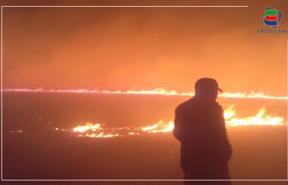 СҮХБААТАР АЙМГИЙН ЭРДЭНЭЦАГААН СУМААС ЭХЭЛСЭН ТҮЙМЭР ОЛОН АЙЛЫН МАЛ, ХАШАА, БАЙШИНГ СҮЙТГЭЭД БАЙНА