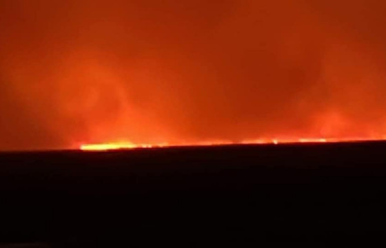 Х.ХҮРЭЛ-ЭРДЭНЭ: ХЭЭРИЙН ТҮЙМЭР УНТРААГҮЙ. ГЭР, МАЛЫН ХАШАА ШАТСАН