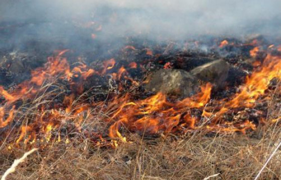 Он гарсаар найман аймгийн 17 суманд 23 удаагийн ой хээрийн түймэр бүртгэгджээ