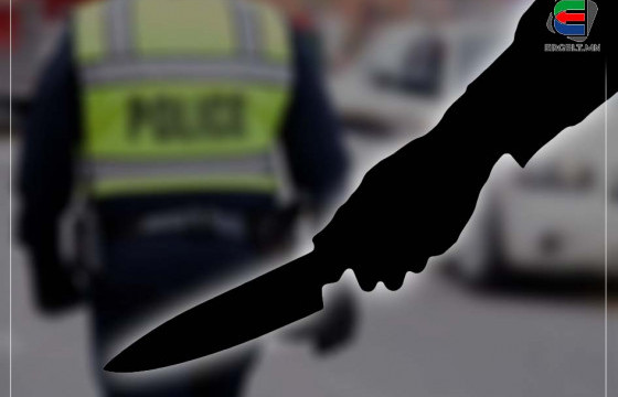 Согтуурсан үедээ нэгнийхээ аминд хүрчээ