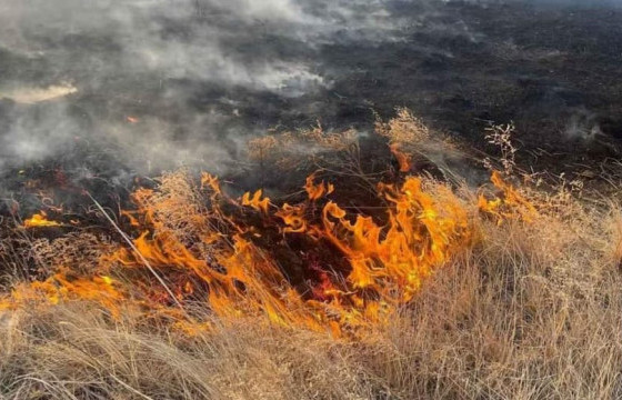 ЧОЙБАЛСАН, ГУРВАНЗАГАЛ СУМДАД ТҮЙМЭР ГАРЧ МЭРГЭЖЛИЙН БҮЛГҮҮД АЖИЛЛАЖ БАЙНА