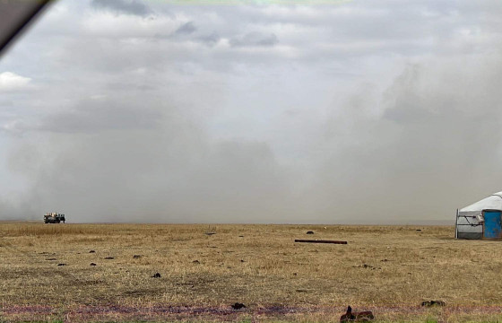 Халхгол сумын малчин Б.Батбаяр: Бүх эд хөрөнгөө түймэрт өргөсөн. Малынхаа эрэлд явж байна