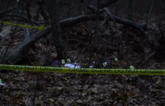 Цагаачдаас 3.5 сая ам.доллар залилж, хэргийн талаар мэдэгдсэн гэрчийг хөнөөсөн мексик эрд АНУ-ын шүүхээс бүх насаар нь хорих ял ногдуулжээ