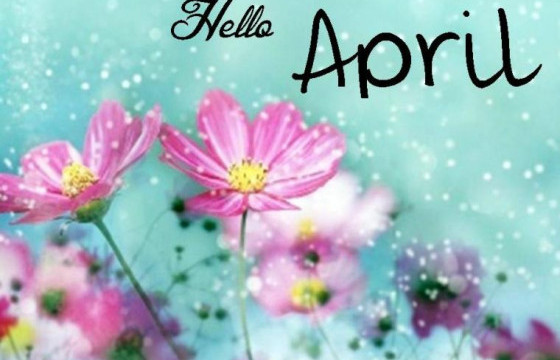 ДӨРӨВДҮГЭЭР САРД УНШИХ ШҮЛГҮҮД