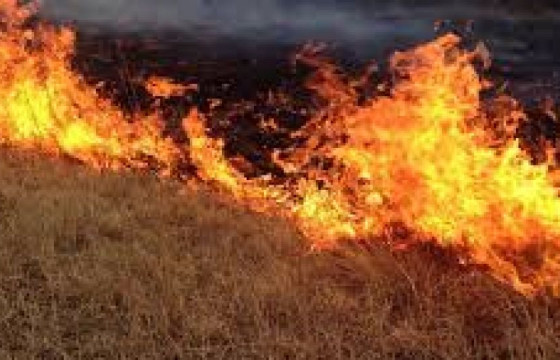 Сүүлийн гурван өдрийн хугацаанд есөн удаагийн ой хээрийн түймрийн дуудлага бүртгэгджээ