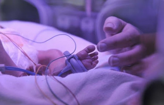 Нэг сартай хүүхдээ хөхөөрөө даржээ