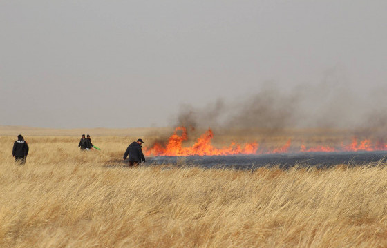 Эрдэнэцагаан суманд гарсан түймрийг бүрэн унтраажээ