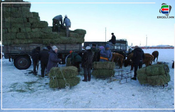 Хаваржилт хүндэрч, өвс тэжээл муутай малчид сандарч байна