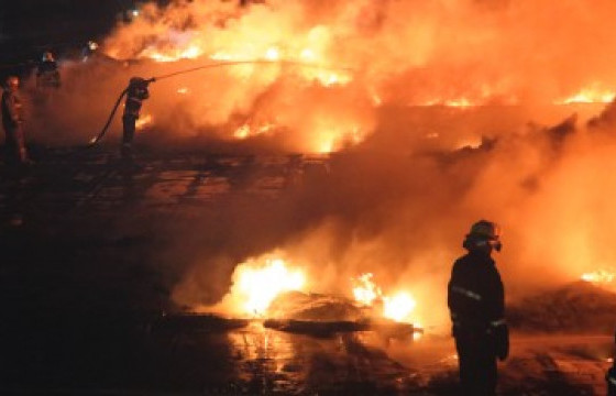 Ил задгай үнс асгасны улмаас гал алдаж 200 га талбай шатжээ