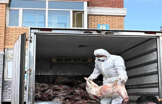 Нөөцийн мах 7390 тонн үлдэгдэлтэй байна