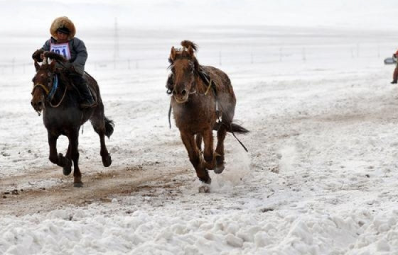 Сүхбаатар аймагт 11 настай хүүхэд мориноос унаж амиа алджээ