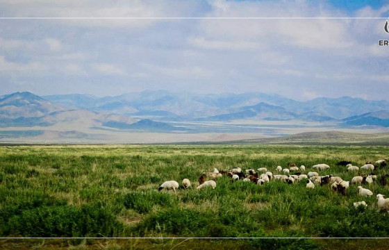 ЭНЭ ЗУН ТӨВИЙН НУТГААР БОРОО ЭЛБЭГ, БАРУУН, ЗҮҮН АЙМГУУДААР ХУР БАГАТАЙ, ОЛОН ЖИЛИЙН ДУНДЖААС ДУЛААН БАЙНА