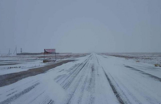 Шуурганы улмаас сураггүй алга болсон иргэнийг эсэн мэнд олжээ