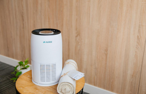 Монгол залуус хонины ноосоор агаар цэвэршүүлэгч бүтээж, зах зээлд нэвтрүүлжээ