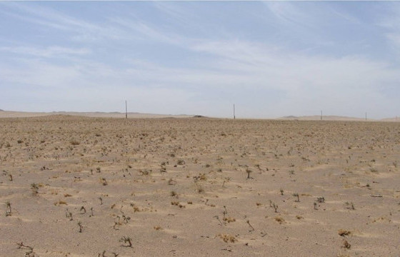 Б.ЖАРГАЛАН: ЭНЭ ЗУН ТӨВИЙН НУТГААР БОРОО ЭЛБЭГ, БАРУУН, ЗҮҮН, ГОВИЙН АЙМГУУДААР ХУР БАГАТАЙ, ОЛОН ЖИЛИЙН ДУНДЖААС ДУЛААН БАЙНА