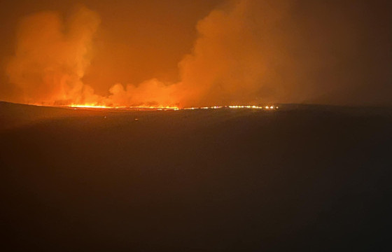 Б.ХОНГОРЗУЛ: Чойбалсан суманд гарсан түймэрт 25 өрх өртөж, олон тооны мал амьтан шатсан