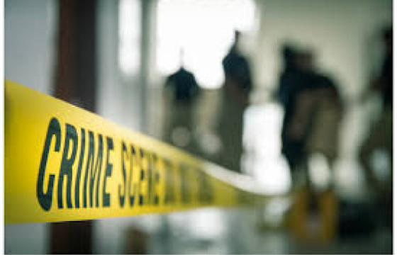 Сураггүй болсон өсвөр насныхныг хайх ажиллагааны үеэр нэг эдлэн газраас долоон хүний цогцос олджээ