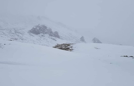 ХОВД АЙМГИЙН ДУУТ СУМЫН МЭРГЭЖИЛТЭН: ЦАСАНД СУУЖ СУРАГГҮЙ БОЛСОН ДӨРВӨН ИРГЭН АЙЛЫН ХАШААНД ХОНОСОН БАЙНА ЛЭЭ