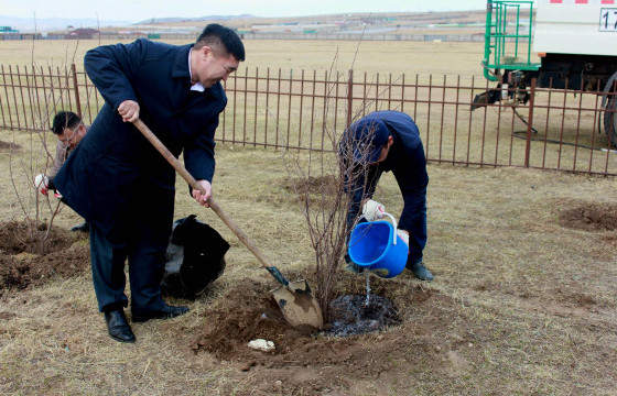 “Монгол наадам цогцолбор”-т жимсний модны төгөл байгуулна