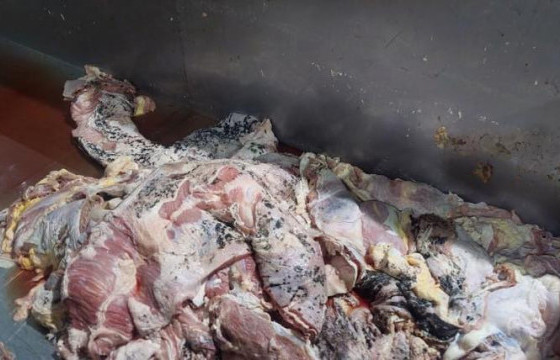 ХХААХҮЯ-НЫ МЭРГЭЖИЛТЭН: “Үүлэнгөү” ХХК-ийн махнаас дээж авч, үйлдвэрийг лацадсан