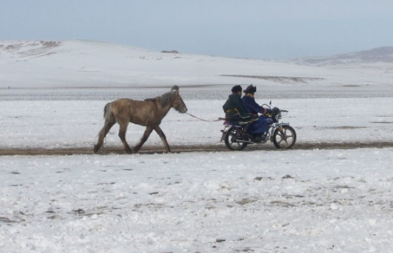 3500 бог мал цасанд боогджээ